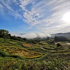 29位のイメージ