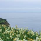 42位のイメージ