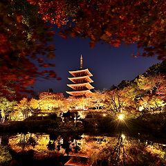 94位のイメージ