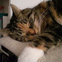 27位のイメージ