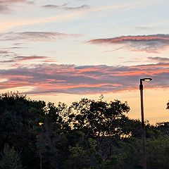 77位のイメージ