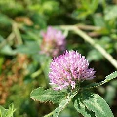 48144位のイメージ