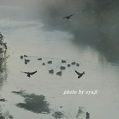 162位のイメージ