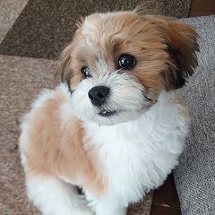 2855位のイメージ