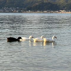 121位のイメージ