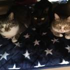 55401位のイメージ