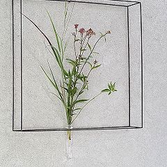 11位のイメージ