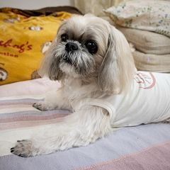 12位のイメージ