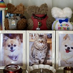 52位のイメージ