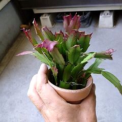 665位のイメージ