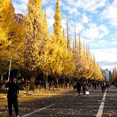 19位のイメージ