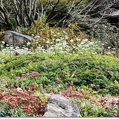 3228位のイメージ