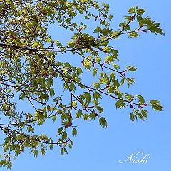 128位のイメージ