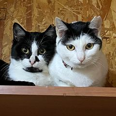 14位のイメージ