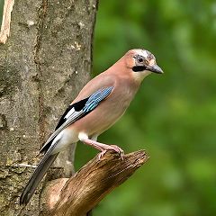 82位のイメージ