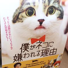 958位のイメージ