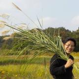 112位のイメージ