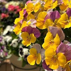 101位のイメージ