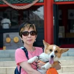 16位のイメージ