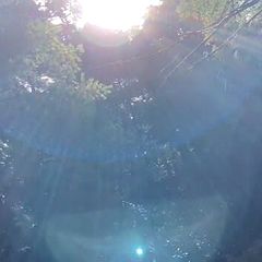 55位のイメージ