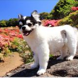 204位のイメージ