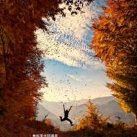 12位のイメージ