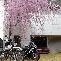 62位のイメージ