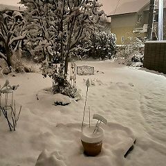 22位のイメージ