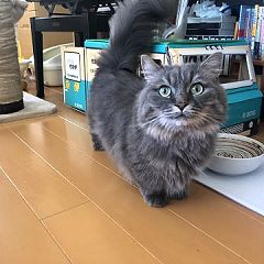 12位のイメージ