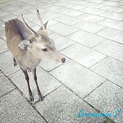 2573位のイメージ