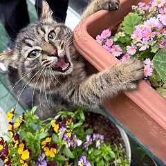 51位のイメージ