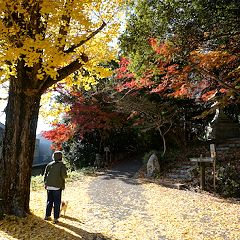 88位のイメージ