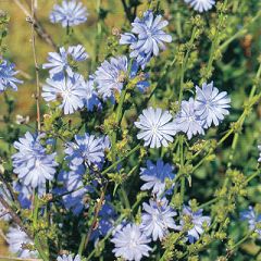 28位のイメージ