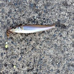 18位のイメージ