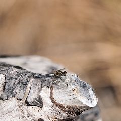 135位のイメージ