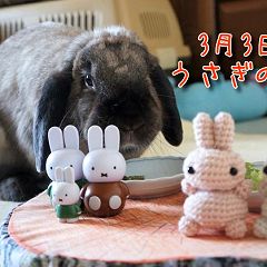 20位のイメージ