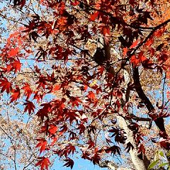 20位のイメージ