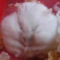 10位のイメージ