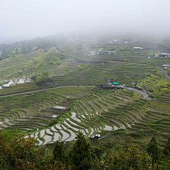 139位のイメージ