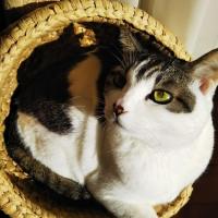 131位のイメージ