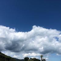 33位のイメージ