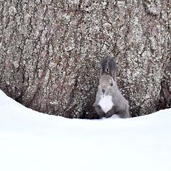 45位のイメージ