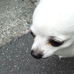 67位のイメージ