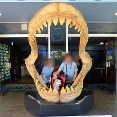 913位のイメージ