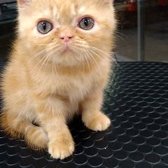 10位のイメージ