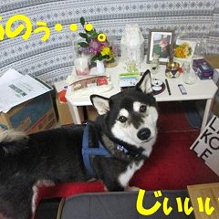 52位のイメージ