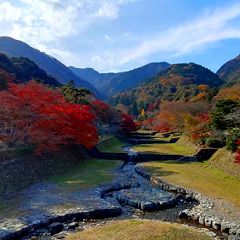 96位のイメージ