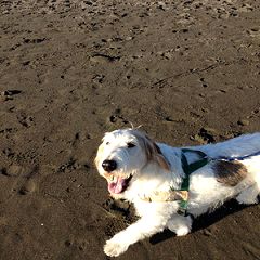 22位のイメージ