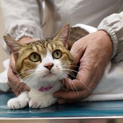 13位のイメージ