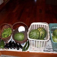 3235位のイメージ